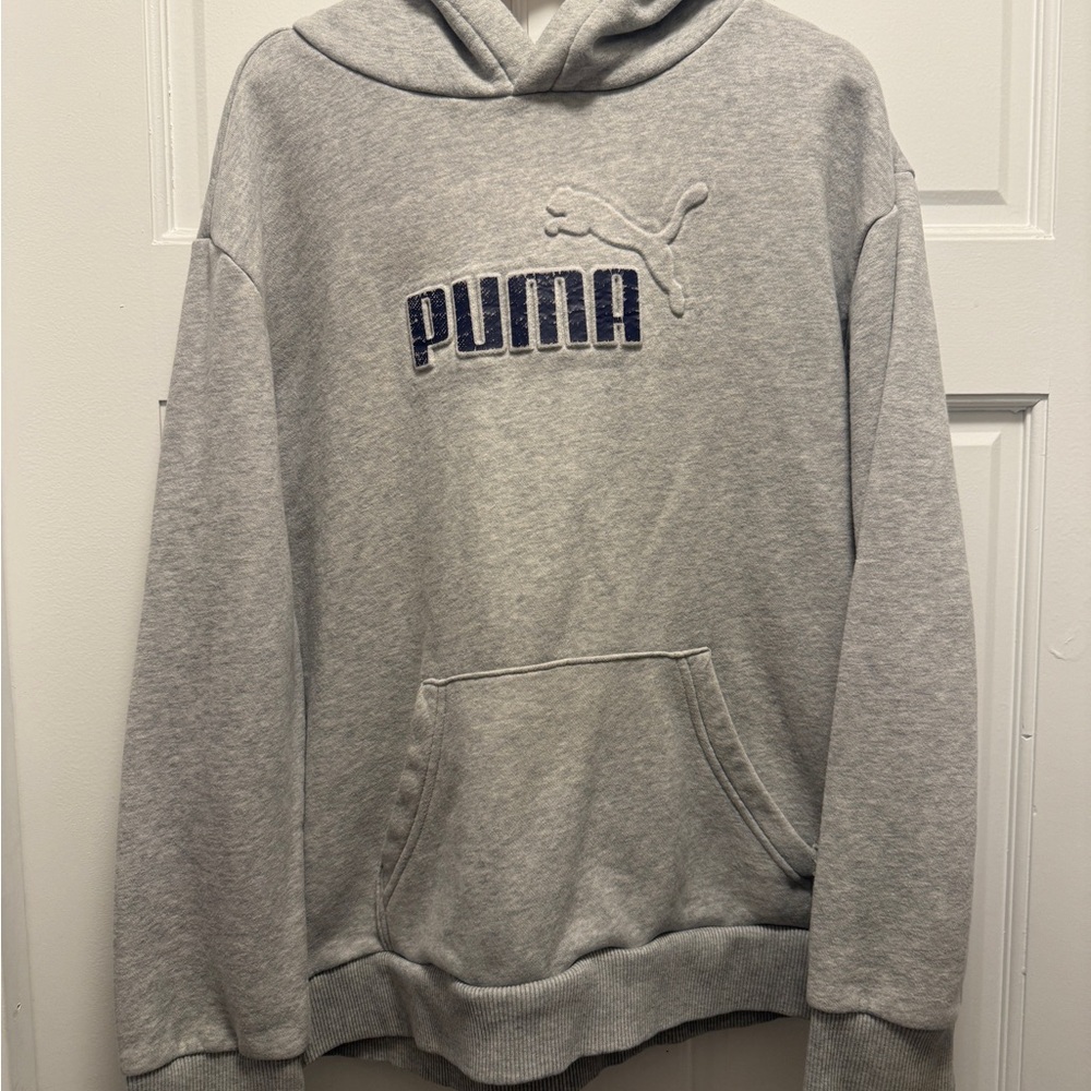 Puma Light Gray Boy's Hoodie